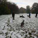 Welpentreff 20/21.10.2007 in Krems