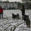 Welpentreff 20/21.10.2007 in Krems