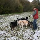 Welpentreff 20/21.10.2007 in Krems