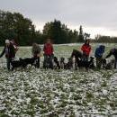 Welpentreff 20/21.10.2007 in Krems