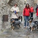 Welpentreff 20/21.10.2007 in Krems