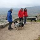 Welpentreff 20/21.10.2007 in Krems