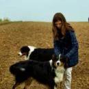 Welpentreff am 7.11. 2010 in Neufarn.