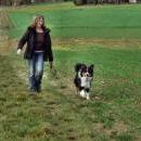 Welpentreff am 7.11. 2010 in Neufarn.