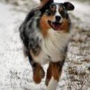 Celine und Akiba-März 2010