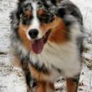 Celine und Akiba-März 2010