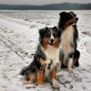 Celine und Akiba-März 2010