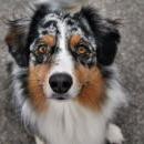 Celine und Akiba-März 2010