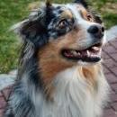 Celine und Akiba-März 2010