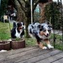 Celine und Akiba-März 2010