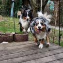 Celine und Akiba-März 2010