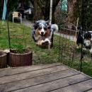 Celine und Akiba-März 2010