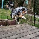 Celine und Akiba-März 2010