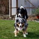 Celine und Akiba-März 2010