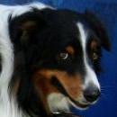 Celine und Akiba-März 2010