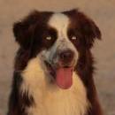 Hoffnung`s blue Sunshine    Ayla